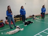 Terápiás kutyák látogatása iskolánkban